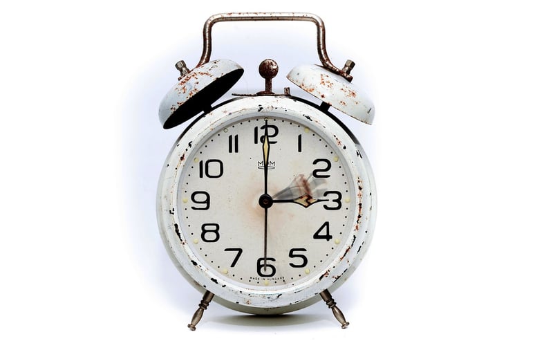 Time Loop Safaris