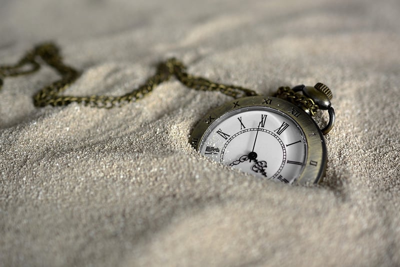 Time-traveler's Delight
